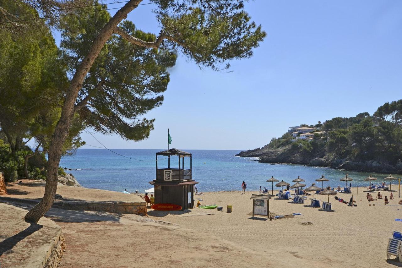 Carritx Alpstuga Capdepera (Mallorca)